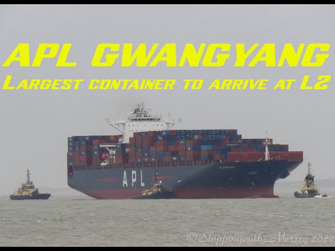 ვიდეო: რას ნიშნავს APL shipping?