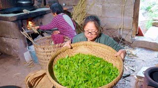 Primitive Tea making | Traditional Rural Recipes | Primitive Lifestyle