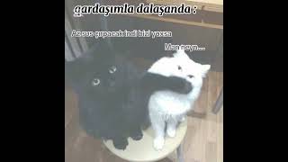 Qardaşımla Dalaşanda