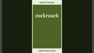 cockroach, How to Say or Pronounce COCKROACH in American, British English, Pronunciation