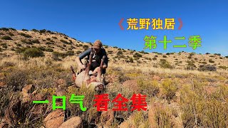 一口气看完，荒野独居第十二季，看谁能拿下最后的冠军