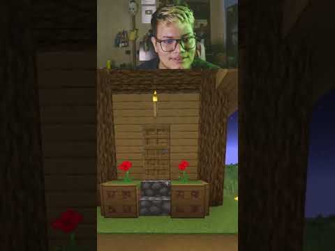 a melhor VINGANÇA contra o ALDEÃO #minecraft