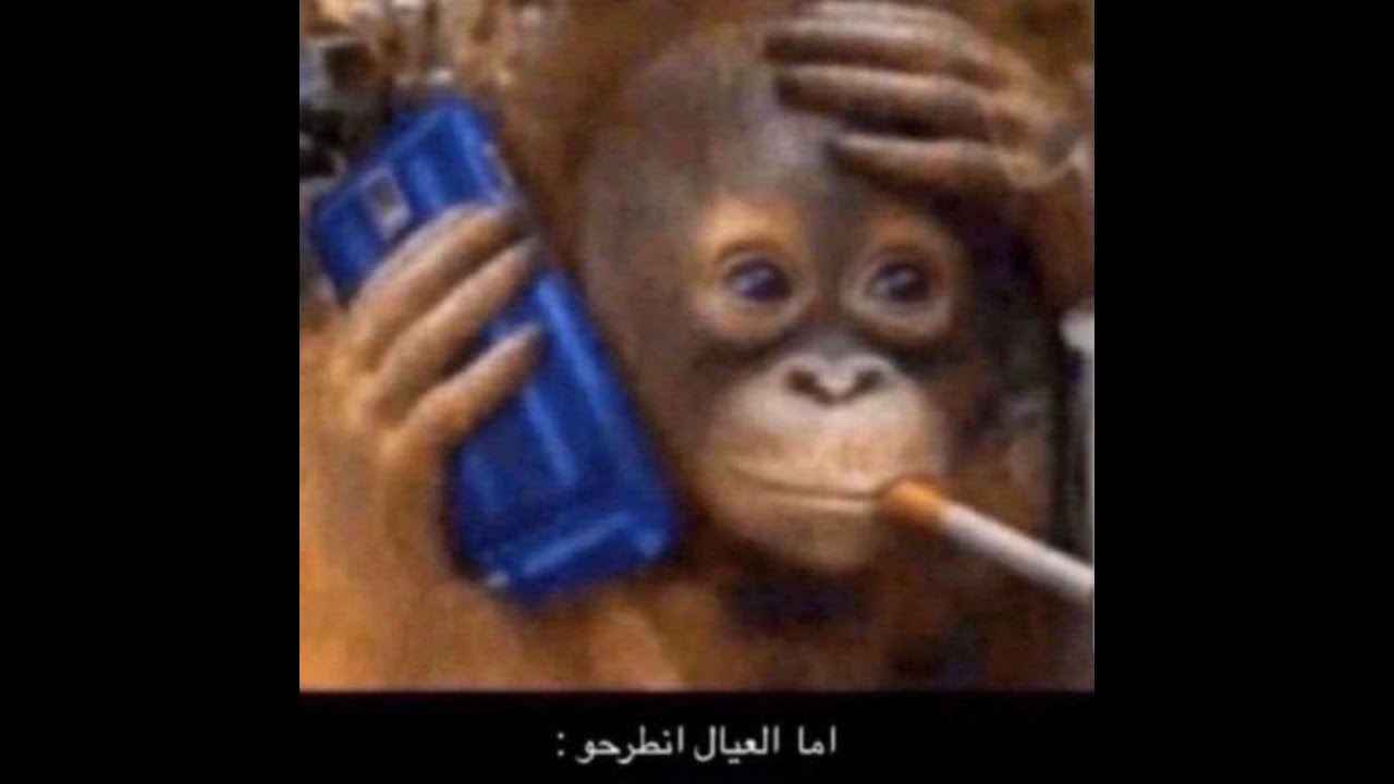 اجرام الثريا | السكولز | See you Later .