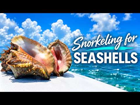 Snorkeling for seashells!