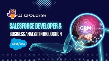 Salesforce Developer  & Business Analyst Introduction | Wise Quarter
