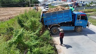 : Wonderful Technique.! Dump Trucks 5t And KOMATSU D31P Dozer filling Flooded land Next to the road