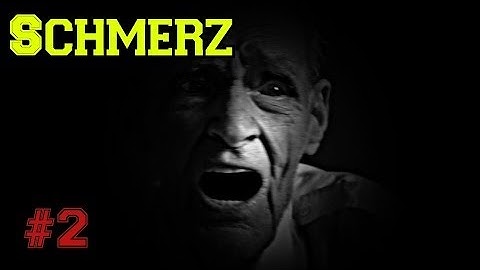 Custom Zombies - Schmerz: We Have to Destroy the Element 115 Metor (Part 2)