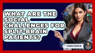 What Are The Social Challenges For Split-brain Patients? - Strange Science HQ