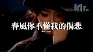 鈴小花 - 春風你不懂我的傷悲『春風吹不暖我的傷悲，人海匆匆一別難相會，今生不再為誰流淚，怎奈回憶反覆輪迴。』【動態歌詞MV】