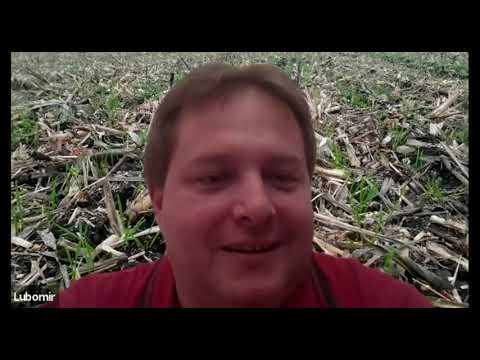 Video: Ako opravíte vyčerpanú pôdu?