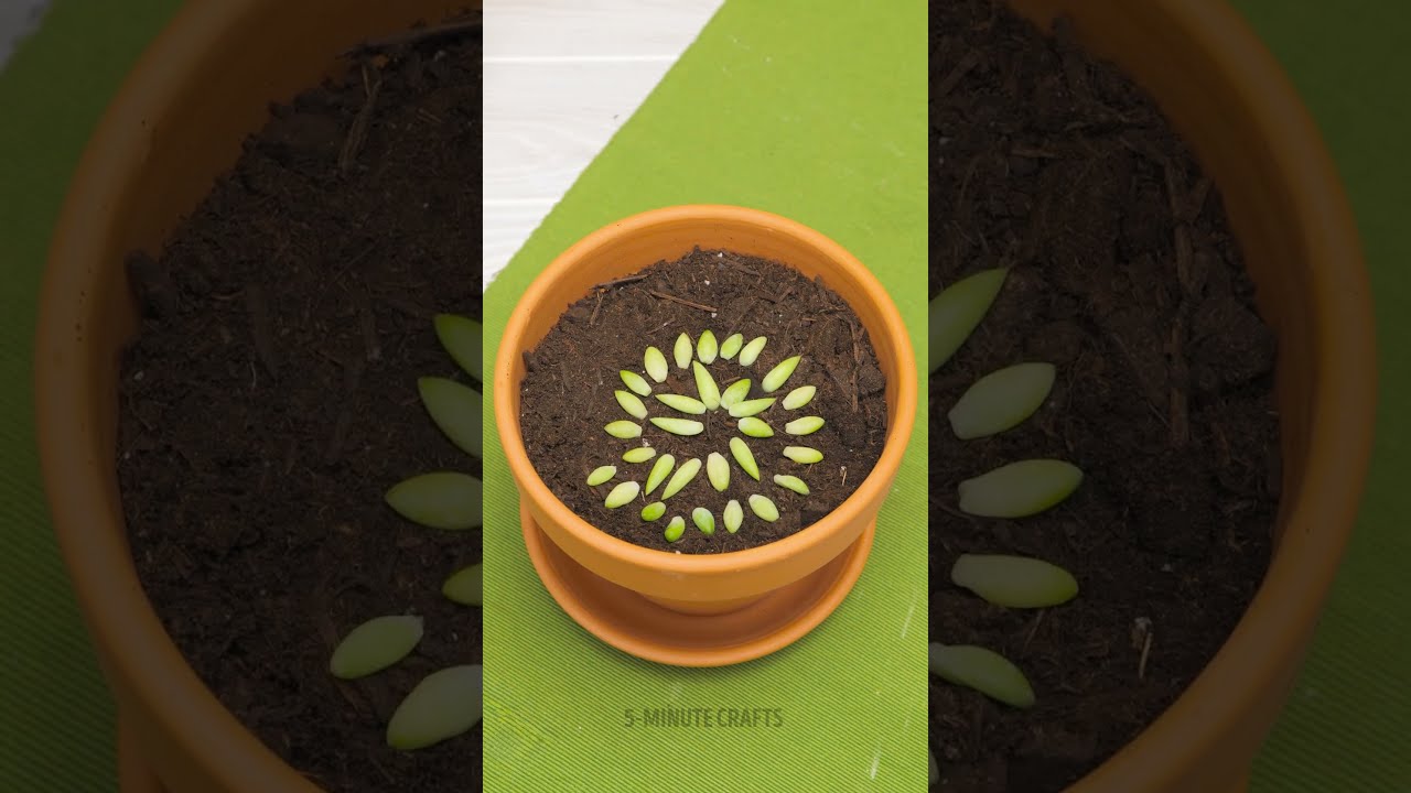 These Plant Tips Are The Secret To A Lush Garden 