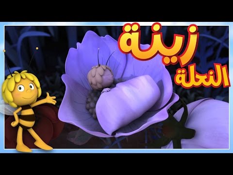 فيديو: الوحل الصغير المفضل لدي