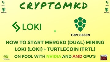How to start MERGED mining Loki (LOKI) and TurtleCoin (TRTL) on pool with AMD and NVIDIA GPU