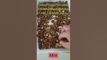 MIA Color Sorting Machine Control System Manufacturer for Large Size Material Testing