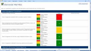 CRM Program Maturity Assessment