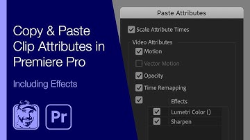 Copy & Paste Clip Attributes in Premiere Pro (Including Effects)