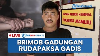 🔴LIVE: Polisi Tangkap Brimob Gadungan di Mamuju seusai Rudapaksa Anak di Bawah Umur di Rumah Kosong