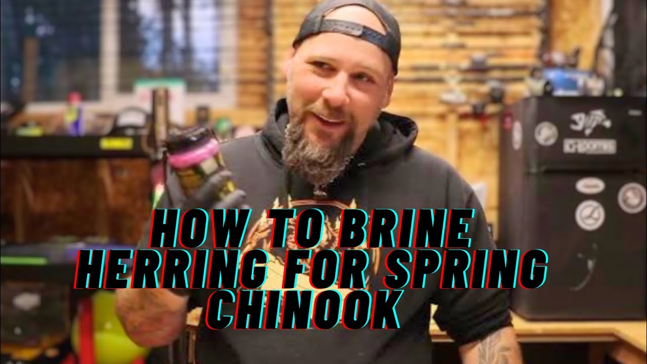 Spring Chinook Herring Brine Recipe YouTube