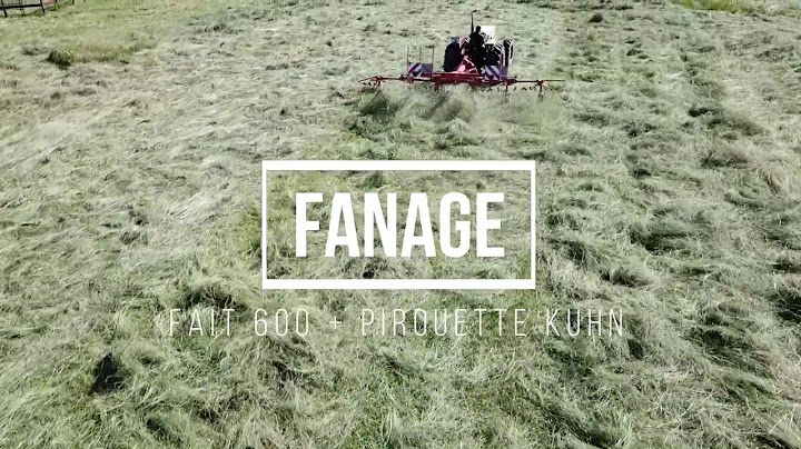[Drone + GoPro] Foins Partie 1 Fanage + Andainage