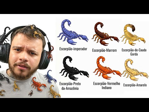 conhecendo cada tipo de escorpião e seu veneno em 9 minutos - React Wolf Explorador