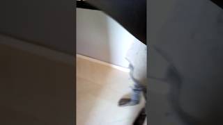 VID 20200121 100929