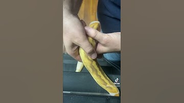 Ultramel Pied fresh shed looking 😍😍😍😍 #ballpython #reptiles