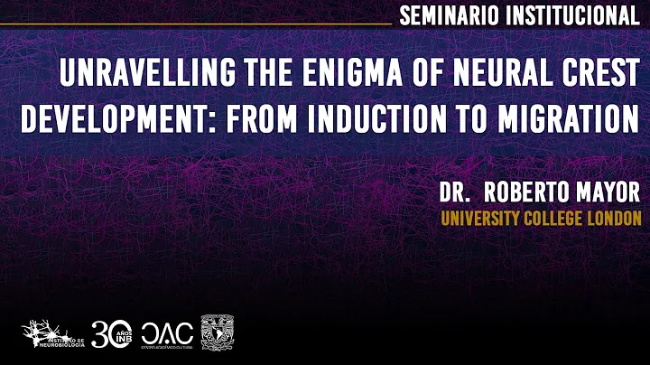 Unravelling the Enigma of Neural Crest Development: From Induction to Migration