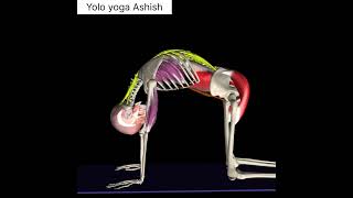 Cat Cow Pose Unlock Your Lumbar Spine Mobility