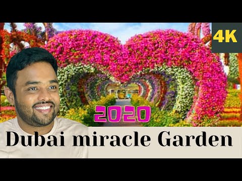 Dubai Miracle Garden 2020-21 || Best tourist place in Dubai || Dubai Telugu vlogs || Ranjittravel