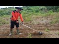 Bedengan dengan Mini Traktor Mesin Rumput oleh Petani Pemula.