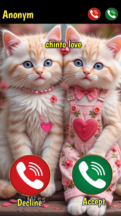 Cute Baby Cat Ringtone 🎶 Cute Cat Calling Effect #shorts #ringtone #cat #timtimtune