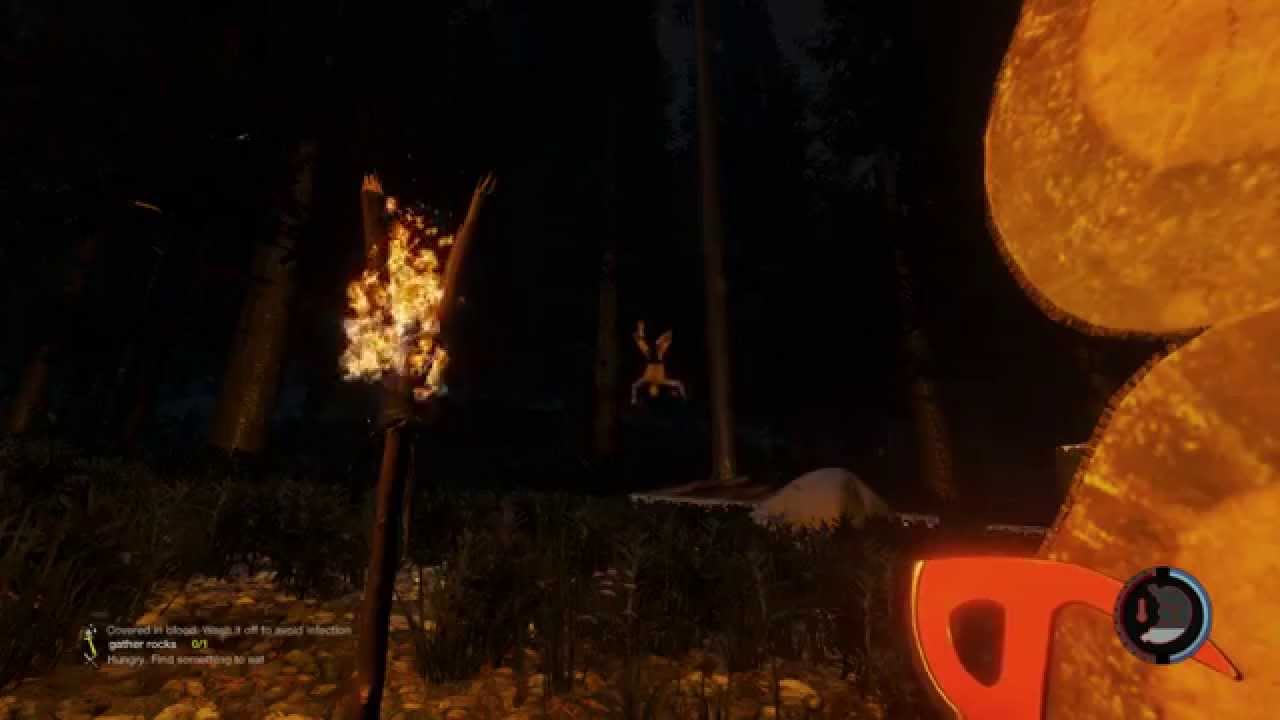 The Forest İnvisible Tree