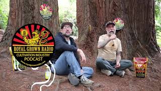 Season 4 Intro: Royal Grown Radio is Back
