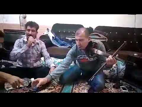 محلی شیرازی 