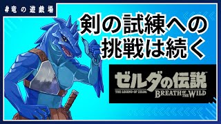 #22【ゼルダの伝説・breath of the wild】剣の試練への挑戦は続く【竜の遊技場】