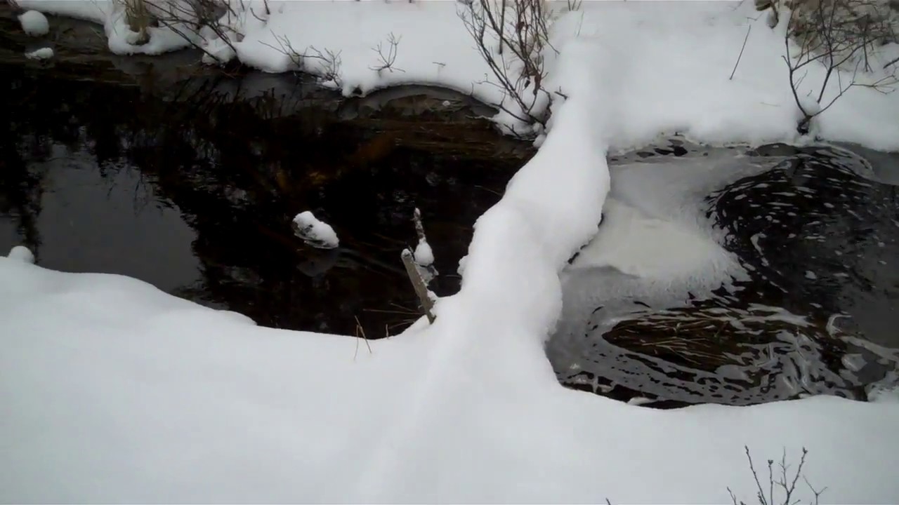 On the line otter traps Feb 11 2018 - YouTube