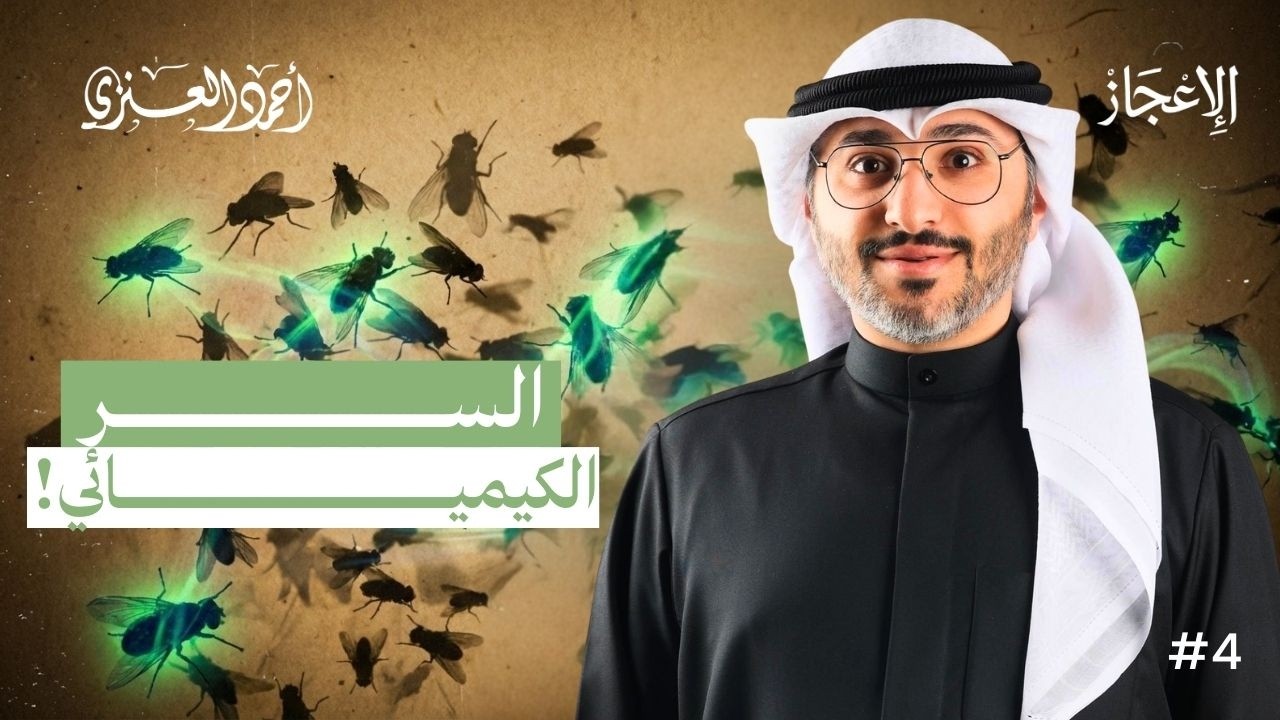 السر الذي عجز عنه العلم وأعلنه القرآن منذ قرون | الذبابة في القرآن | الحلقة الرابعة | أحمد العنزي