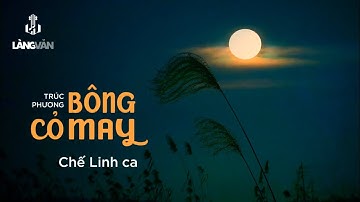 Chế Linh | Bông Cỏ May (Trúc Phương) | Nhạc Xưa Bất Hủ | Official Làng Văn (Radio)