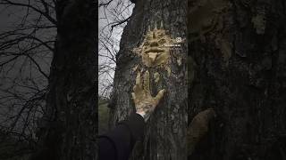 Download Lagu April 3, 2025 MP3 Download Lagu April 3, 2025 MP3