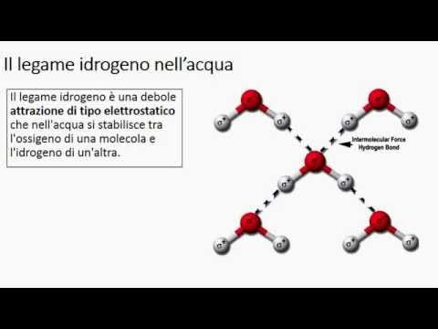 La struttura dell'acqua e il legame a idrogeno 