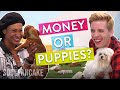 People Choose Between Money or Puppies! | The Science of Generosity