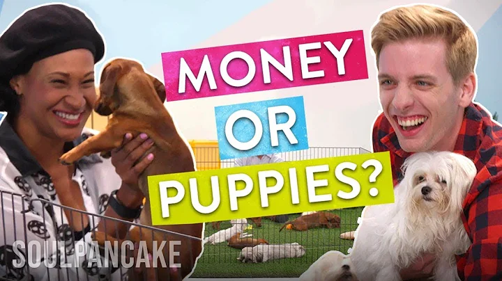 People Choose Between Money or Puppies! | The Science of Generosity - DayDayNews