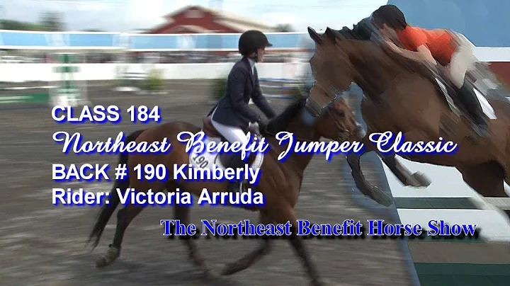 2013 Northeast Benefit Horse Show - Class 184 - #1...