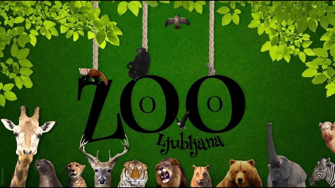 ZOO Ljubljana, Slovenia 2021 4k