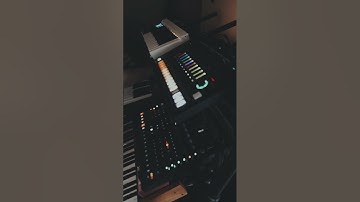 MELODIC JAM w/ Elektron analog four mk2, Moog Grandmother, Mellotron M4000D & Roland Tr8s