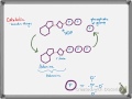 ATP and Its Role in Cellular Reactions