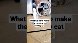 This Makes The Grumpy Cat Happy