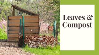 Turn Fall Leaves Into Living Gold #organicgardening