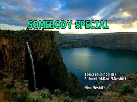 Nina Nesbitt - Somebody special / Karaokê
