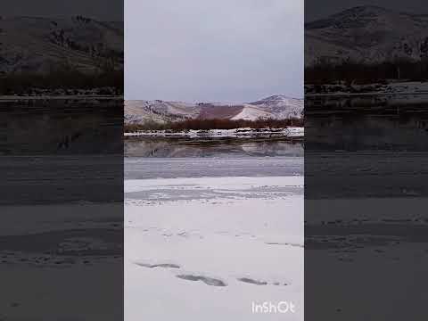 Река Онон (19).#россия,#река,#реки,#shorts,#онон,#river,#rivers,#забайкалье,#природа,#nature,#горы